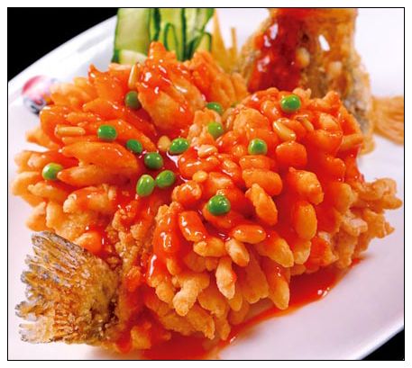 松鼠桂鱼