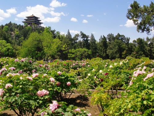 景山公园