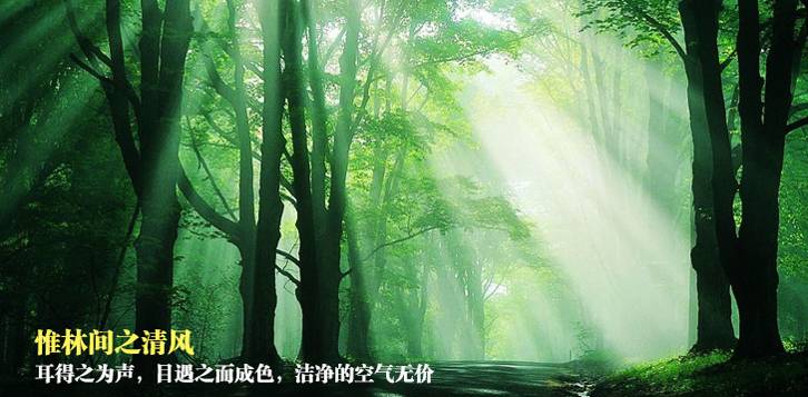 五一去杭州怎么样？杭州千岛湖五一游玩攻略