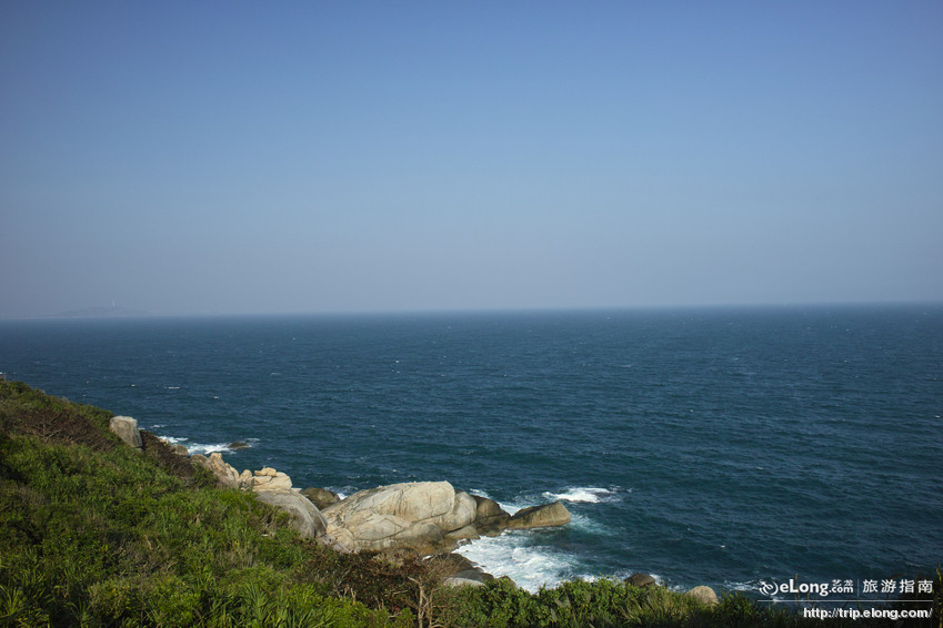 金龟探海