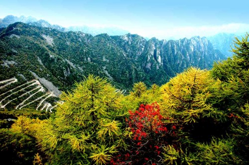 点击查看源网页